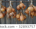 onion  32893757