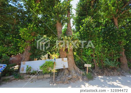 Married couple 32894472