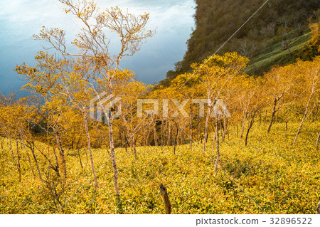 “北海道”摩週湖“黎明” 32896522