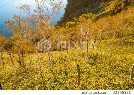 “北海道”摩週湖“黎明” 32896528