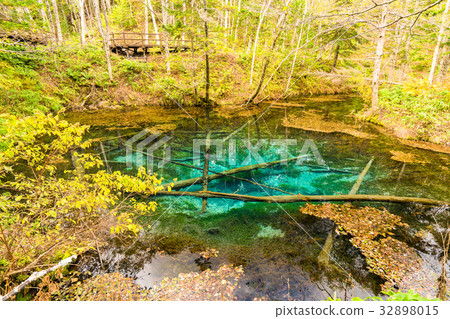"Hokkaido" God's pond "Autumn" 32898015