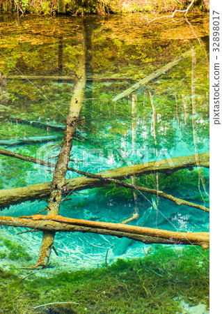 "Hokkaido" God's pond "Autumn" "Hokkaido" God's pond "Autumn" 32898017