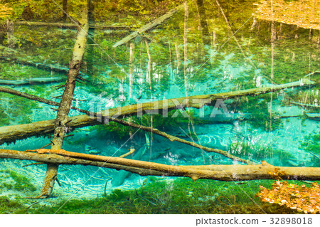 "Hokkaido" God's pond "Autumn" "Hokkaido" God's pond "Autumn" 32898018