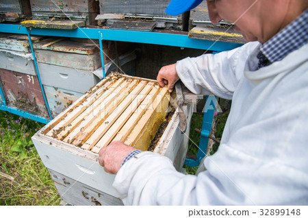 The beekeeper keeps a frame with honey sealed with 32899148