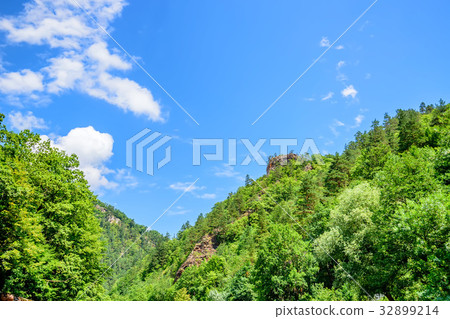Scenic view of mountain meadow Scenic view of mountain meadow 32899214