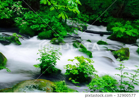 Oirase Valley（青森縣十和田市） 32900577