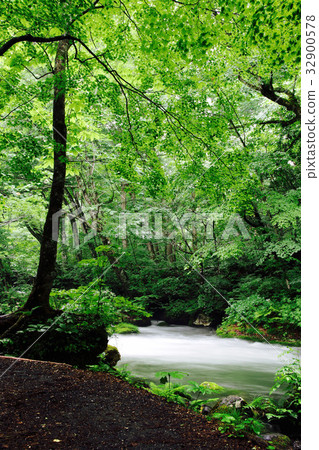 Oirase Valley(青森縣十和田市) Oirase Valley(青森縣十和田市) 32900578