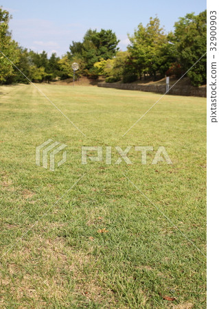 ground 32900903
