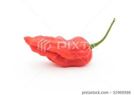 Ghost Pepper (Boot Joloquia): Ghost pepper Ghost Pepper (Boot Joloquia): Ghost pepper 32900986