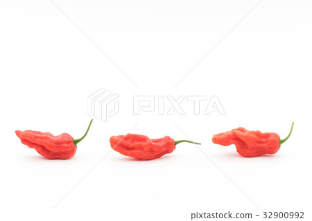 Ghost Pepper (Boot Joloquia): Ghost pepper 32900992