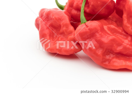 Ghost Pepper (Boot Joloquia): Ghost pepper Ghost Pepper (Boot Joloquia): Ghost pepper 32900994