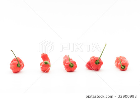 Ghost Pepper (Boot Joloquia): Ghost pepper 32900998