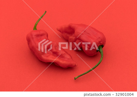 Ghost Pepper (Boot Joloquia): Ghost pepper Ghost Pepper (Boot Joloquia): Ghost pepper 32901004