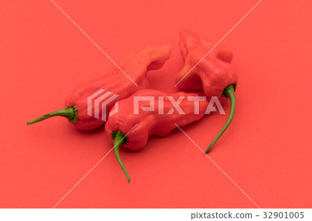 Ghost Pepper (Boot Joloquia): Ghost pepper 32901005