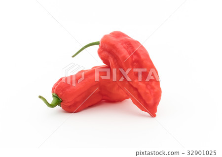 Ghost Pepper (Boot Joloquia): Ghost pepper 32901025