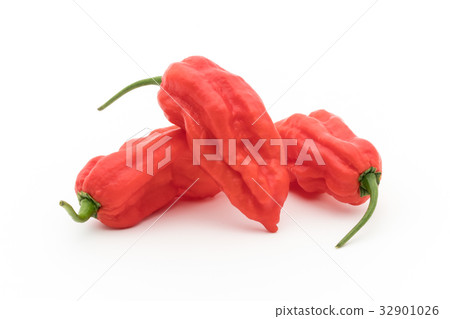 Ghost Pepper (Boot Joloquia): Ghost pepper 32901026