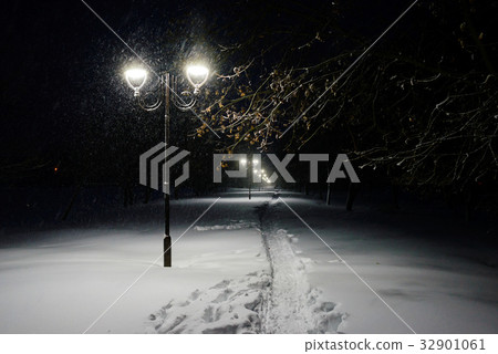 Winter alley in park and shining lanterns.  32901061