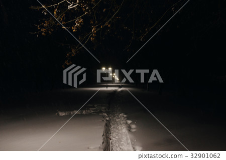 Winter alley in park and shining lanterns. Winter alley in park and shining lanterns. 32901062