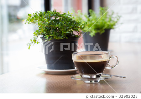 Coffee cup with house plant Coffee cup with house plant 32902025