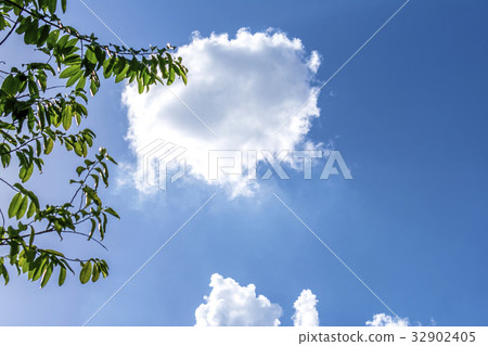 Blue sky background with clouds and green leaves Blue sky background with clouds and green leaves 32902405