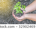 Two hands holding seedlings to plant 32902469