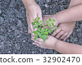 Two hands of a woman and a boy planting trees 32902470