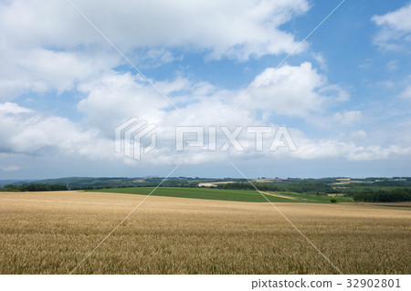 Auvert hill Auvert hill 32902801