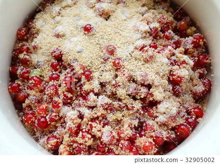 糖用甜菜糖用甜菜 糖用甜菜糖用甜菜 32905002