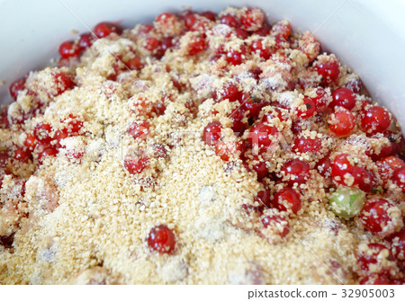 糖用甜菜糖用甜菜 糖用甜菜糖用甜菜 32905003