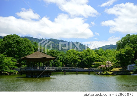 Nara / Summer's Fumihiro 6 32905075