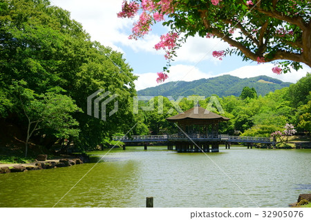 奈良/夏天的Fumimitsu 7 奈良/夏天的Fumimitsu 7 32905076