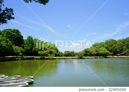 奈良/科諾克夏天2 奈良/科諾克夏天2 32905089