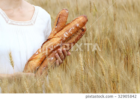 Picnic in the wheat field 32905842