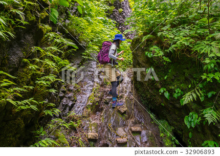 A famous trail in Tajima, a mountain trail leading to the waterfall of Shiwagara (Shihoda, Shinonsen-cho, Bigata-gun, Hyogo Prefecture) 32906893