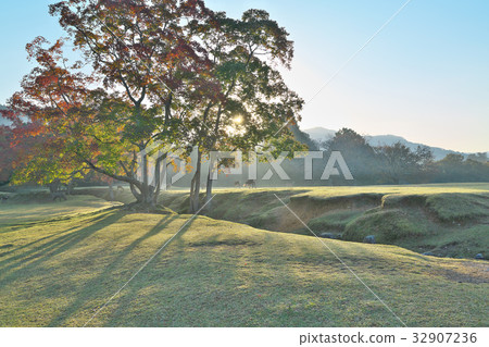 Tokiwano的早晨 32907236