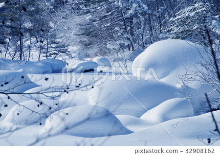 Five ginsenuma in winter (Bottom Band) 32908162