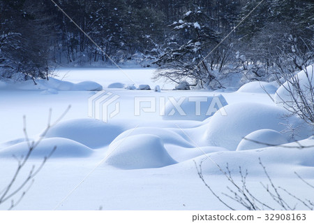 Five ginsenuma in winter (Bottom Band) Five ginsenuma in winter (Bottom Band) 32908163