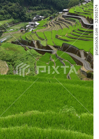 在高知町，高知高岡的貝類河地區的梯田 32908374