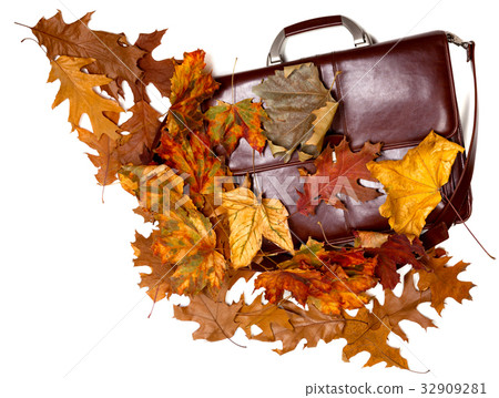 Brown leather briefcase and autumn dry leaves 32909281