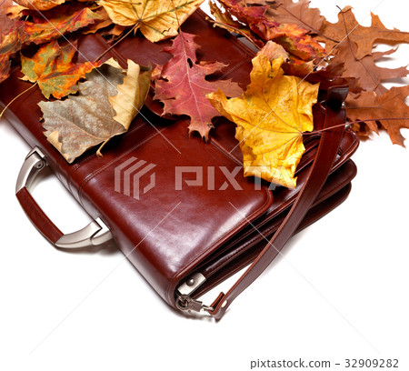 Brown leather briefcase and autumn dried leaves 32909282