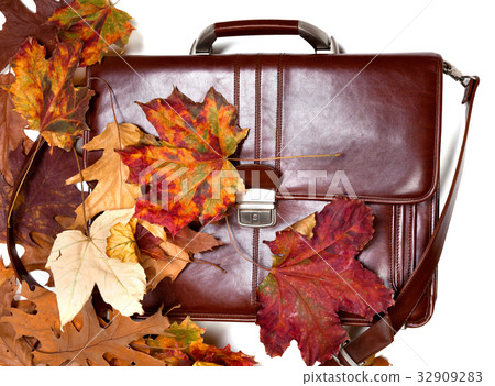 Brown leather briefcase and autumn dry leaves 32909283