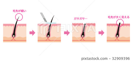 Cross section view of waste hair treatment razor hair 32909396