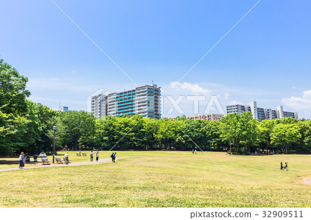 A park image of a holiday 32909511