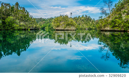 Rocks overgrown with Palmtrees in Hidden Bay on Rocks overgrown with Palmtrees in Hidden Bay on 32909820