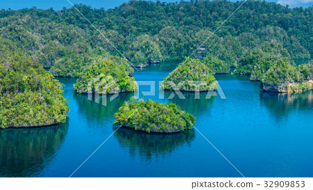 Many Rocks covered by Palmtrees in Passage between 32909853