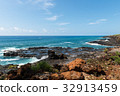 Kauai coastline 32913459