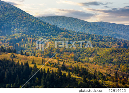 meadow among forest on hillside at autumn morning meadow among forest on hillside at autumn morning 32914623