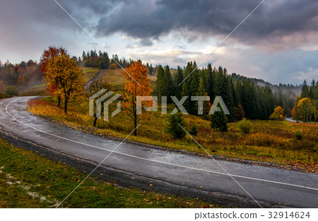 countryside road through forest in stormy weather countryside road through forest in stormy weather 32914624