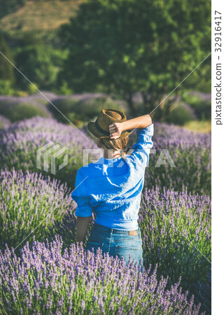 Young woman in blue shirt enjoying lavender field Young woman in blue shirt enjoying lavender field 32916417