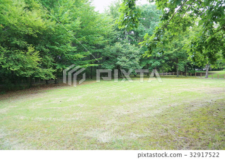 夏季公園 32917522